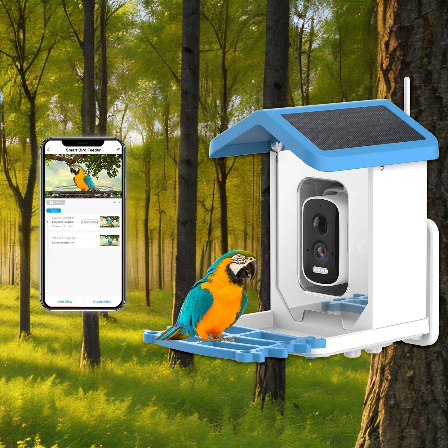 Bird Feeder Camera