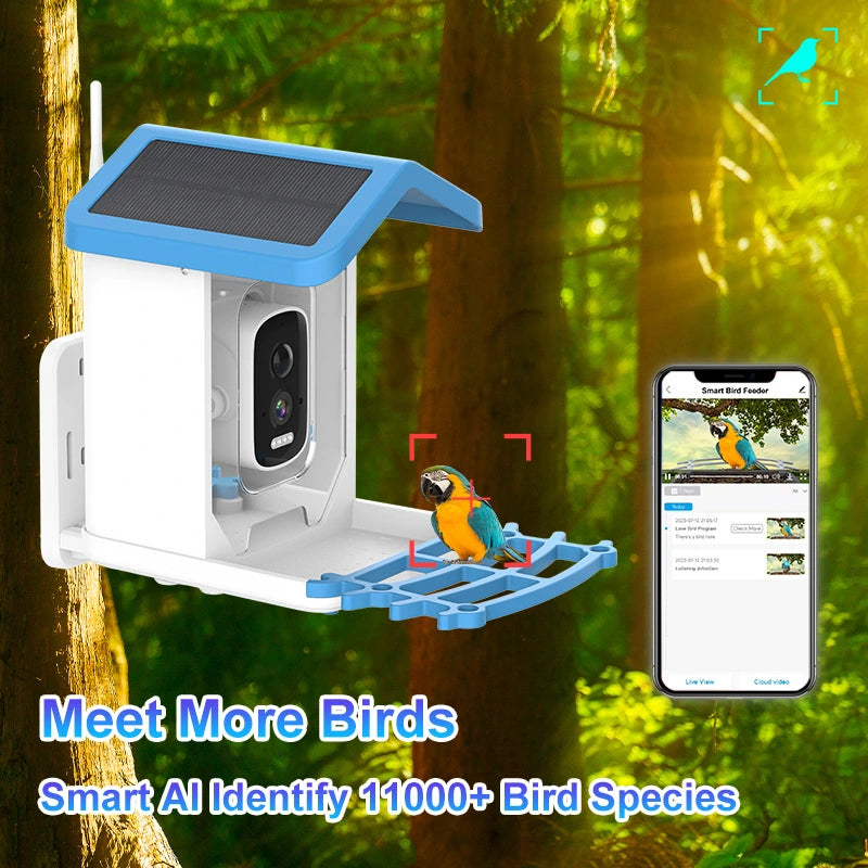 Bird Feeder Camera