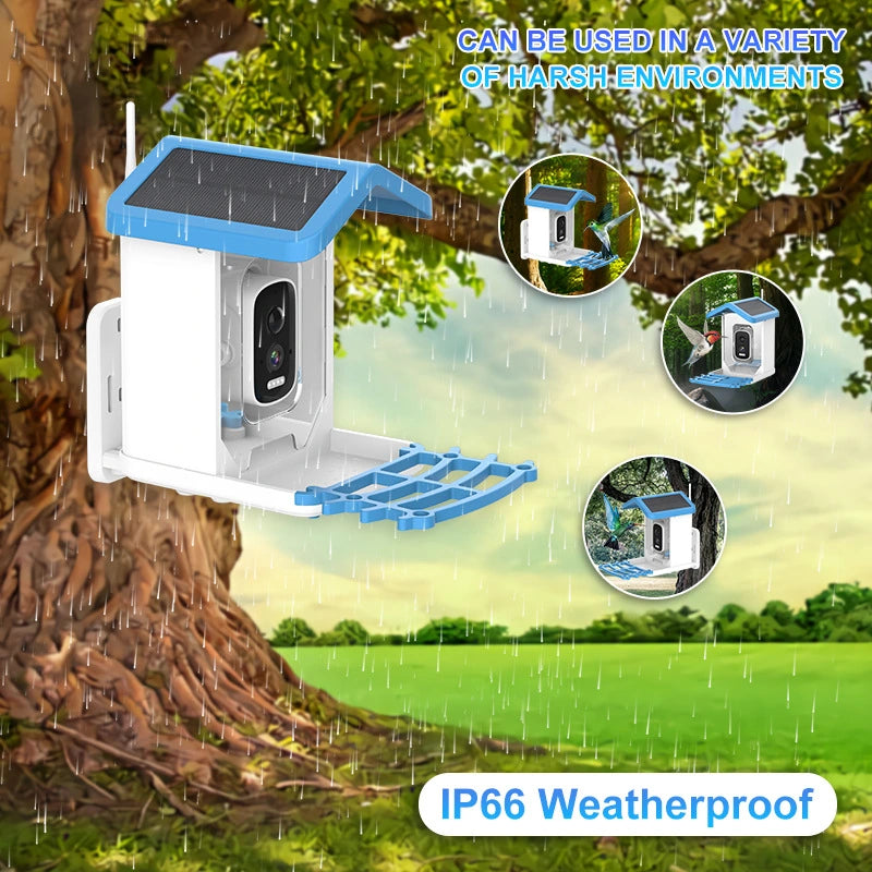 Bird Feeder Camera