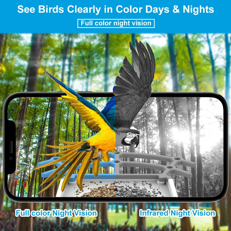 Bird Feeder Camera