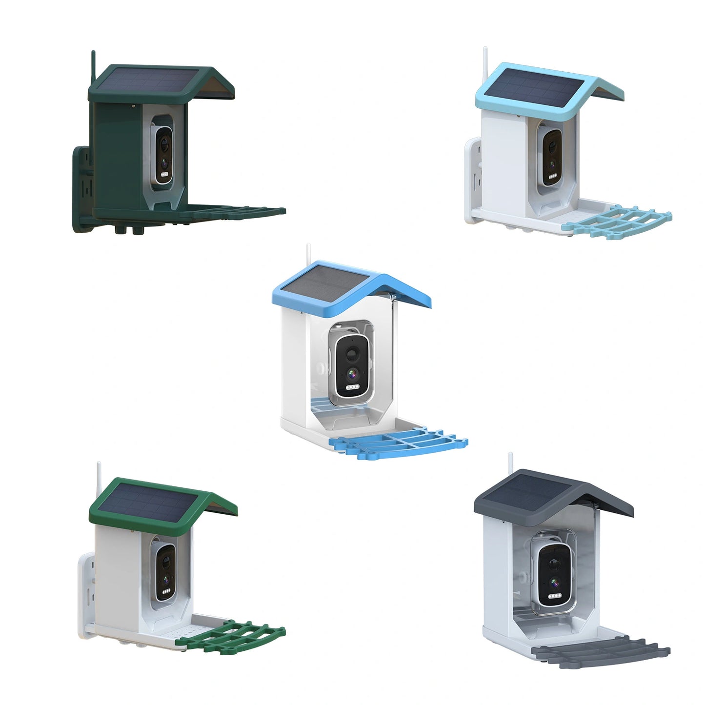 Bird Feeder Camera